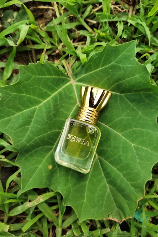 Kewra Premium Attar - Image 3